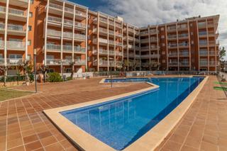 Appartement  Calle belgica de. Planta baja en port dalcudia con terraza y piscina