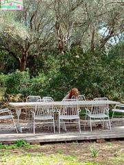Finca rústica en Felanitx Poble. Oportunidad única en felanitx! terreno rústico de 61.000 m con p