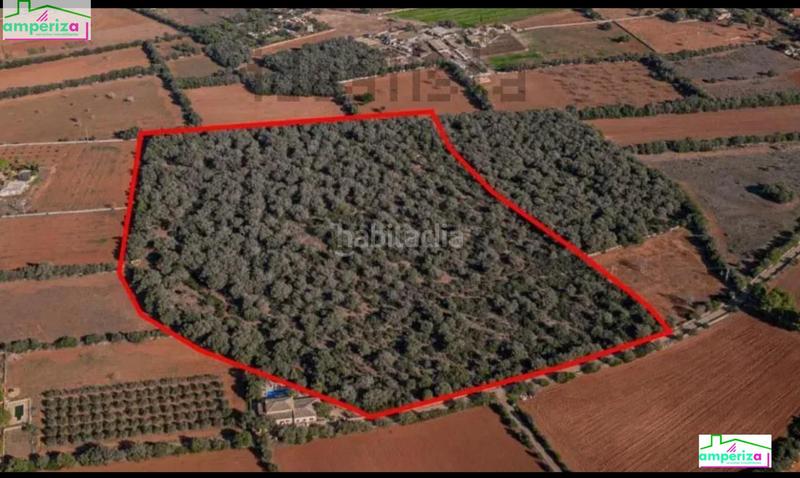 Foto 281ecde2-7d0d-41a3-8fe0-49ebef076cf0. Rural plot in Felanitx poble Felanitx