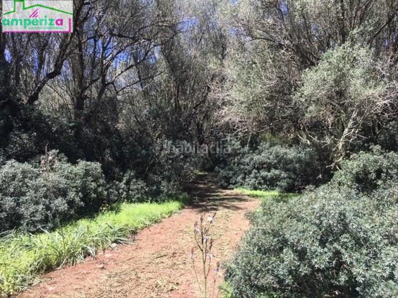 Foto ed5dbfbd-b4ce-4733-a1d6-45b7edb72213. Rural plot in Felanitx poble Felanitx