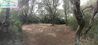 Propriété à Felanitx Poble. Oportunidad única en felanitx! terreno rústico de 61.000 m2 con