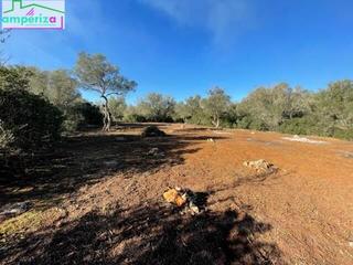 Finca rústica a Felanitx Poble. ! terreno rústico edificable de 61.000 m con proyecto aprobado