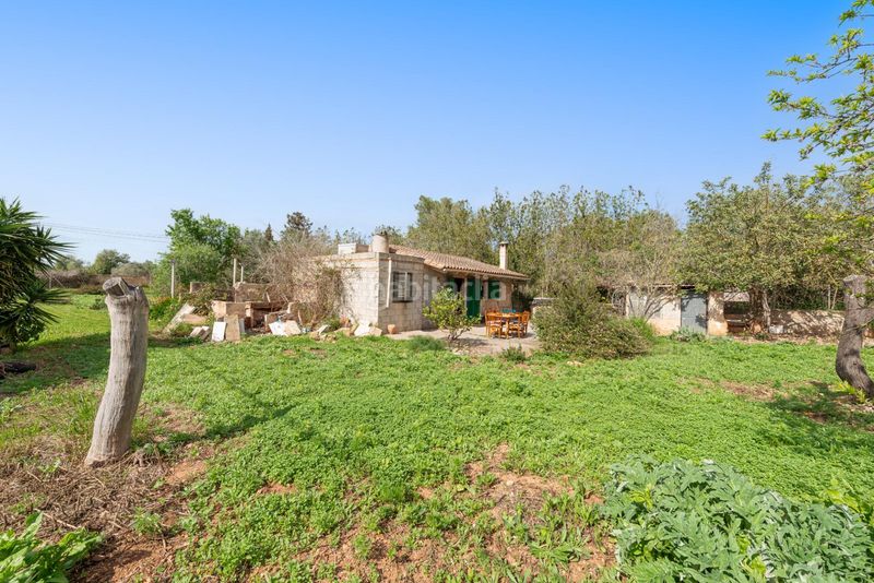 Foto 4210d636-3baf-4347-8820-cbd67776396d. Casa amb aparcament a Llucmajor interior Llucmajor