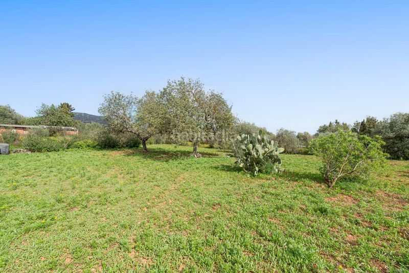 Foto baa339fc-2bc6-49dc-9616-6db319ad4579. Casa amb aparcament a Llucmajor interior Llucmajor