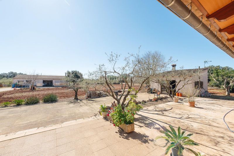 Foto 5e24af62-6c99-4452-a4e8-e2a3882fb5f7. Masía exclusiva f rústica con residencia unifamiliar y vistas a la tramuntana privacidad, elegancia y auténtico estilo de v en Inca