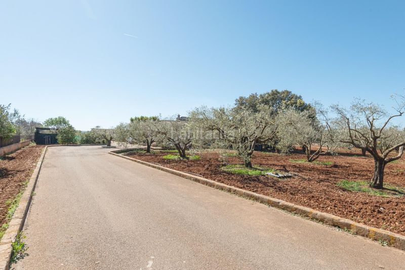 Foto f5b6bc62-3ced-41ac-a26f-9f27ea516c4e. Masía exclusiva f rústica con residencia unifamiliar y vistas a la tramuntana privacidad, elegancia y auténtico estilo de v en Inca