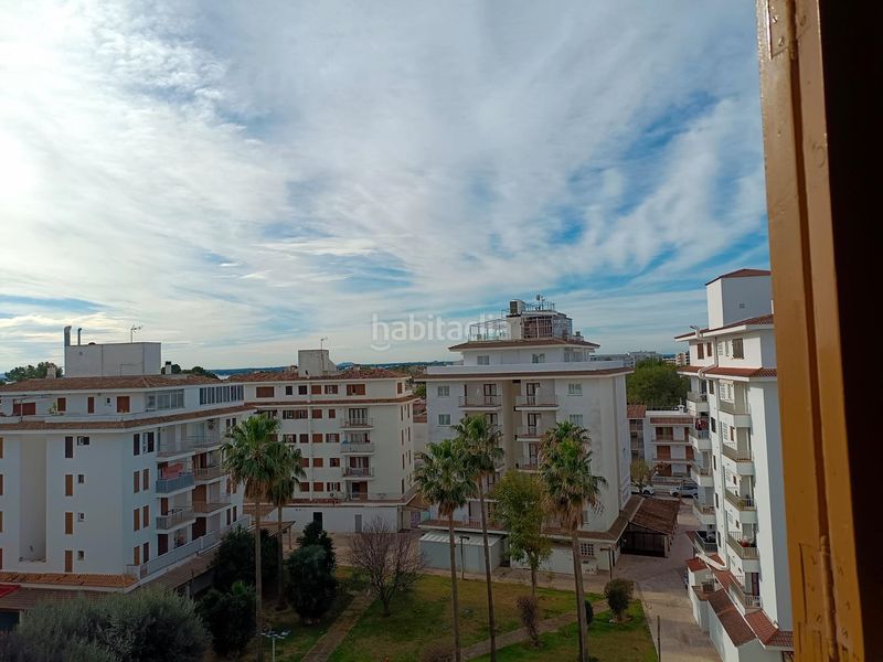 Foto 00488cfe-7048-434a-b11b-c04d7fd76ab5. Àtic a port d´Alcúdia-platja dálcúdia Alcúdia