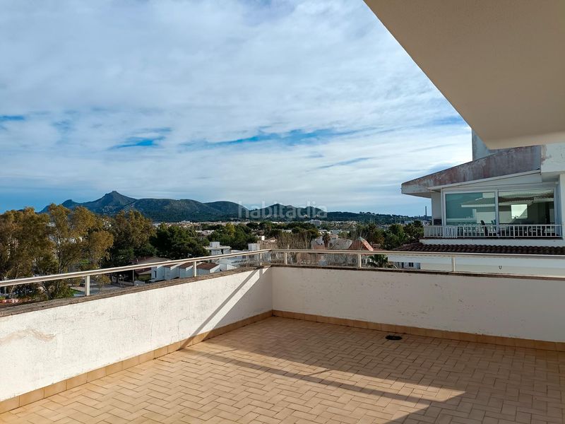 Foto 092ad77d-2cad-4978-9afa-f8464c67c7b1. Àtic a port d´Alcúdia-platja dálcúdia Alcúdia