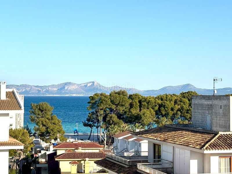 Foto 561a42a7-f0cc-40ed-ac73-4320e519acb5. Àtic a port d´Alcúdia-platja dálcúdia Alcúdia