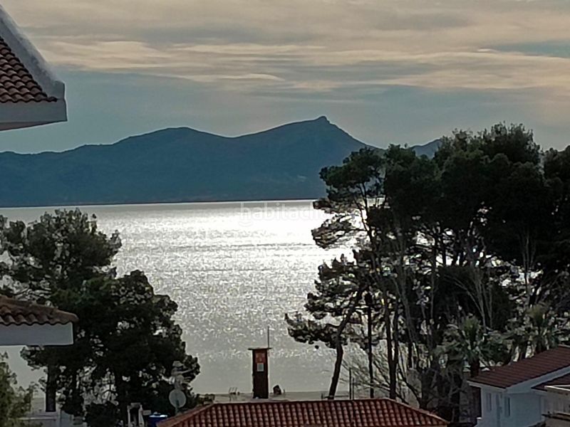 Foto 6aec201b-8d17-445b-936e-5f2057585c1e. Àtic a port d´Alcúdia-platja dálcúdia Alcúdia