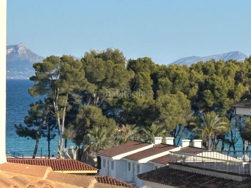 Foto cd9ce2f9-f1ca-424f-b43a-dfe56c162e9e. Àtic a port d´Alcúdia-platja dálcúdia Alcúdia