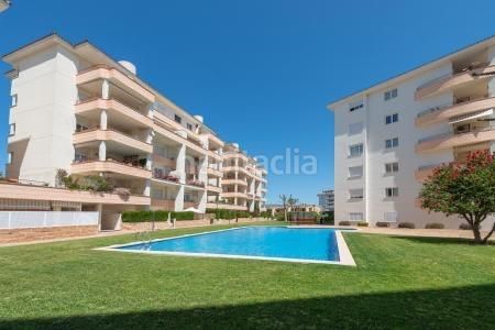 Foto 23c5498d-5899-47f3-beaf-d54cf55fcf12. Dúplex amb calefacció aparcament piscina a port d´Alcúdia-platja dálcúdia Alcúdia