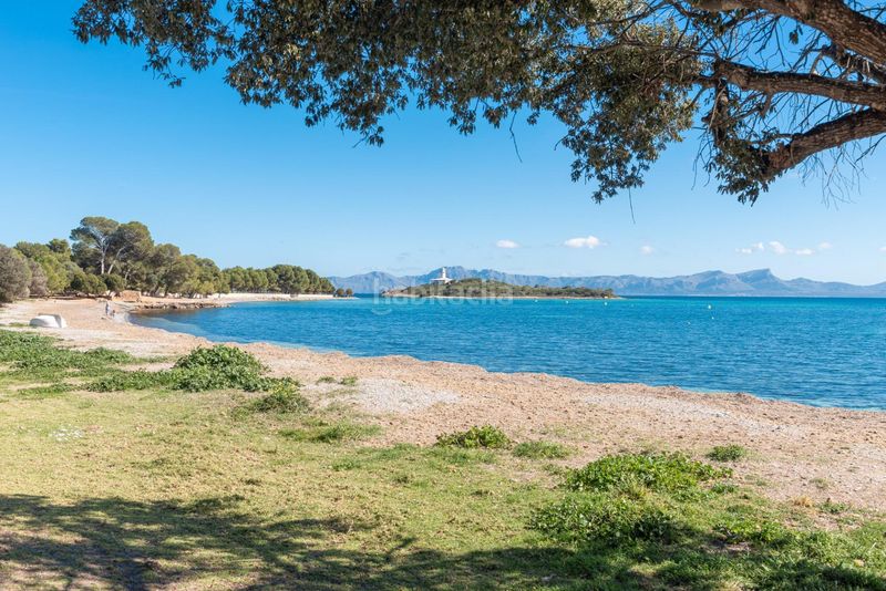 Foto 01117733-50a0-496d-8a3b-592363a28a81. Planta baixa amb calefacció aparcament a port d´Alcúdia-platja dálcúdia Alcúdia