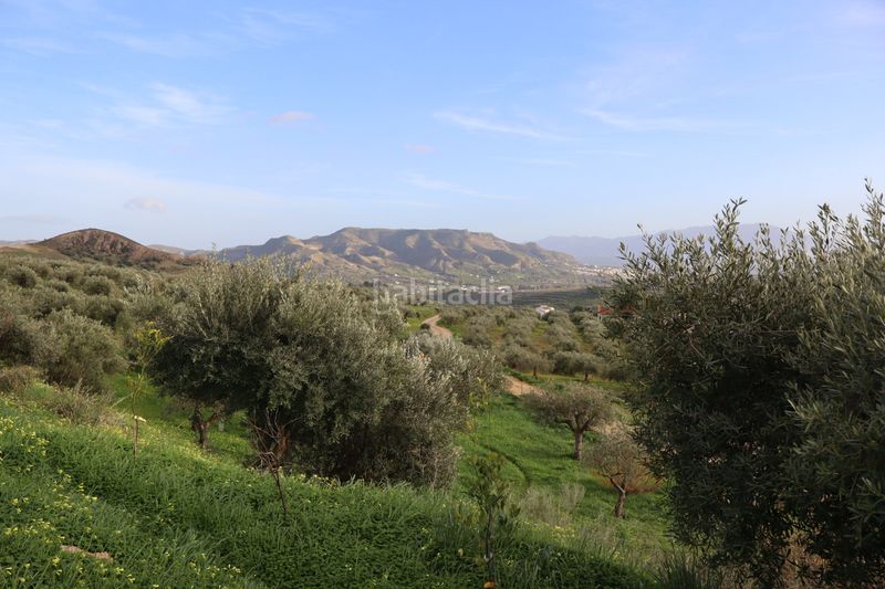 Foto e49d886a-1a8d-4448-bfe1-2284daf2b7ed. Masia amb xemeneia piscina a Ardales