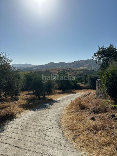 Foto 018d8a2f-516e-4933-8d39-b669f32b9f51. Masia a Álora