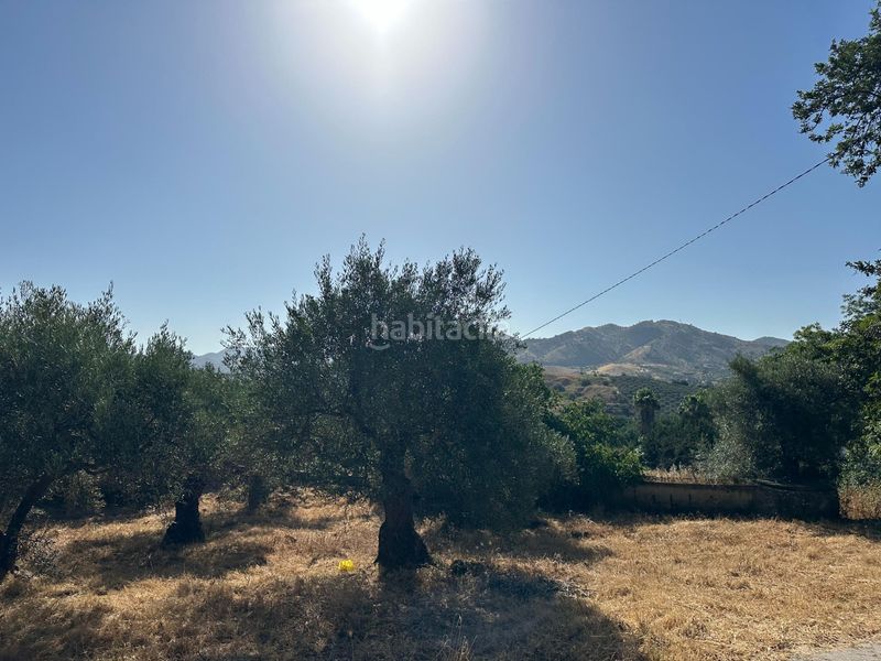 Foto 324276f8-201d-4322-ac4a-cedb13e0a8dd. Masia a Álora