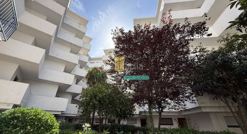 Foto 32e56c8f-7dbf-4c9b-857d-d3ca1b08a454. Apartament a Santa Margarida Roses