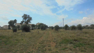 Landgut in Plaça poligono 22 54. En venta terreno en poligono 22