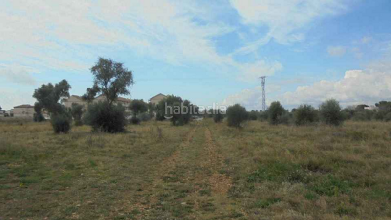 Foto 2c51a4ab-a7d7-429a-a956-bac82fe249bd. Finca rústica a plaça poligono 22 54 a Costa Norte Vinaròs