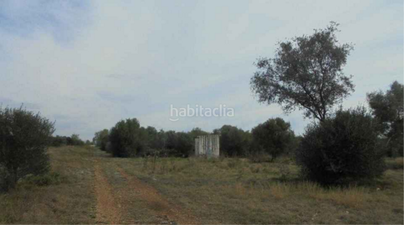 Foto d0aa1135-073f-4d13-aed8-d6832f7b5ffe. Finca rústica a plaça poligono 22 54 a Costa Norte Vinaròs