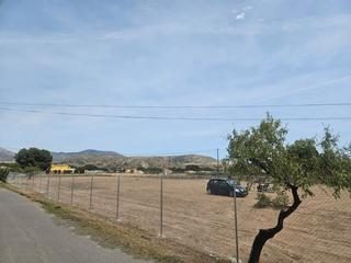 Finca rústica a Partida campo alto 33114. Terreno en venta en partida campo alto, elda