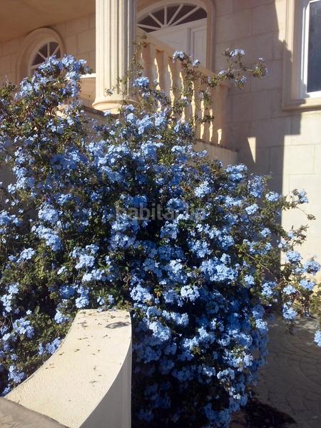 Foto 0f72e4c2-a197-495c-948f-ab1307ab569e. Chalet in partida baiona alta 33 in La Huerta Mutxamel