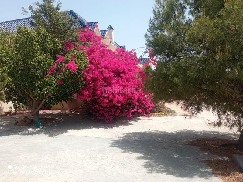 Foto b036425b-3ba6-4f95-a1d9-1524c0ee8279. Chalet in partida baiona alta 33 in La Huerta Mutxamel