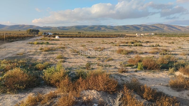 Foto 32243b37-c95a-453f-9612-9def04bedec1. Finca rústica a Bonalba-Cotoveta Mutxamel