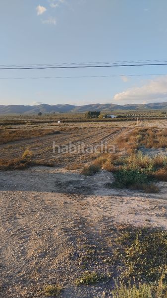Foto 3270f908-c7ea-4ee1-9138-9f0cbbd5b384. Finca rústica a Bonalba-Cotoveta Mutxamel