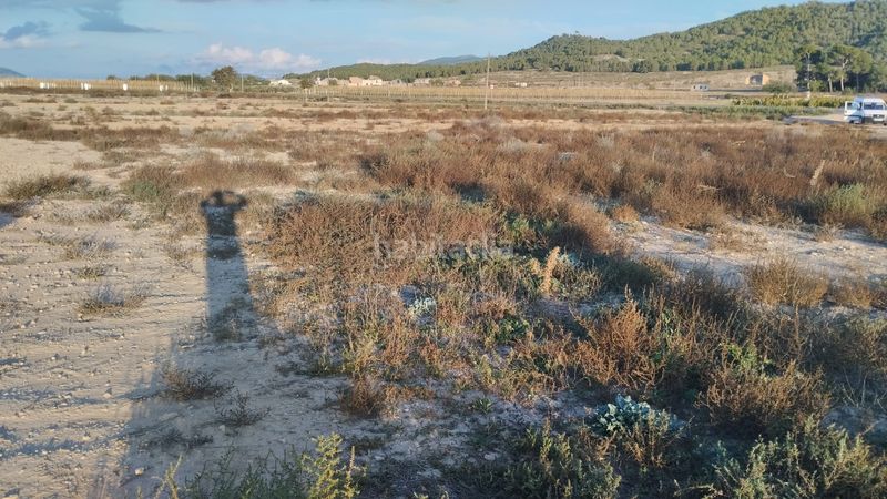 Foto 687f7728-20ac-4544-b6b9-cf169d13a482. Finca rústica a Bonalba-Cotoveta Mutxamel
