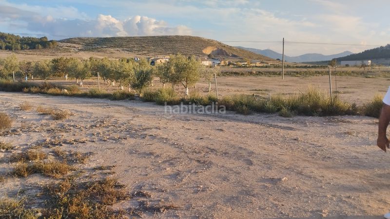 Foto 7f232cef-882c-4acd-b403-c869005351ab. Finca rústica a Bonalba-Cotoveta Mutxamel