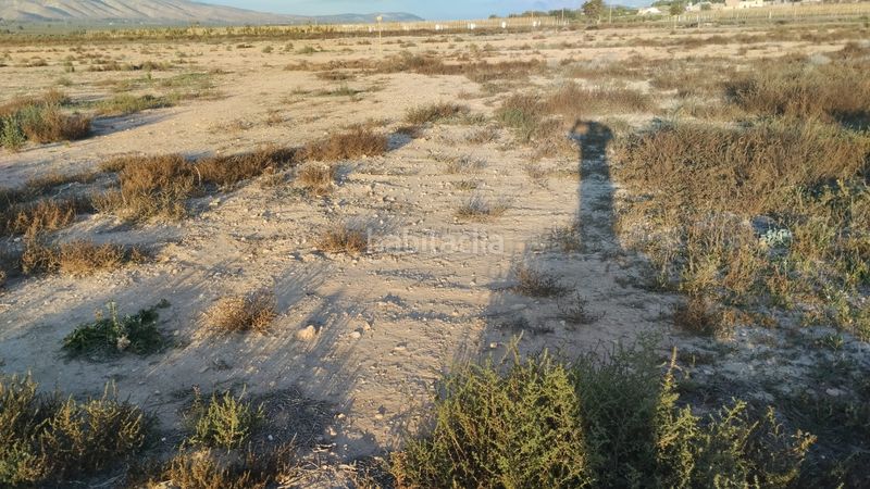 Foto d21e8001-db44-4bbf-9c7e-b89ac29c05e0. Finca rústica a Bonalba-Cotoveta Mutxamel