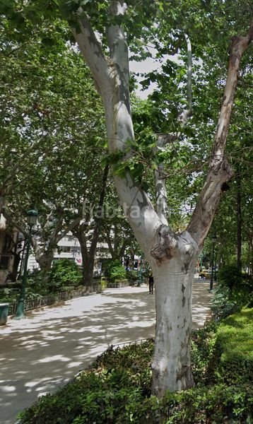 Foto d57dd81e-35e4-49a9-b5b2-18cd36cba184. Flat in Russafa Valencia