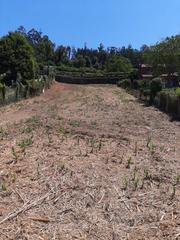 Terreny residencial a Caldas de Reis. Finca en venta en caldas