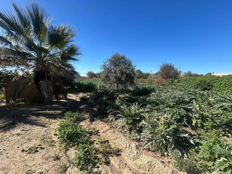 Foto 3e688c15-d029-4863-be82-b344872ca063. Xalet a Las Bayas Elche / Elx