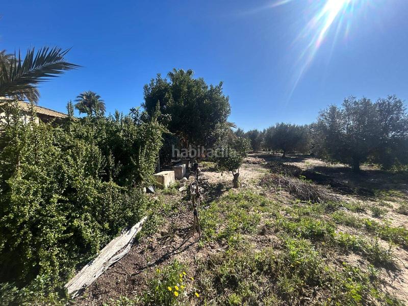 Foto 7ff5c7ff-5427-4f15-8651-4a7d683f682b. Xalet a Las Bayas Elche / Elx