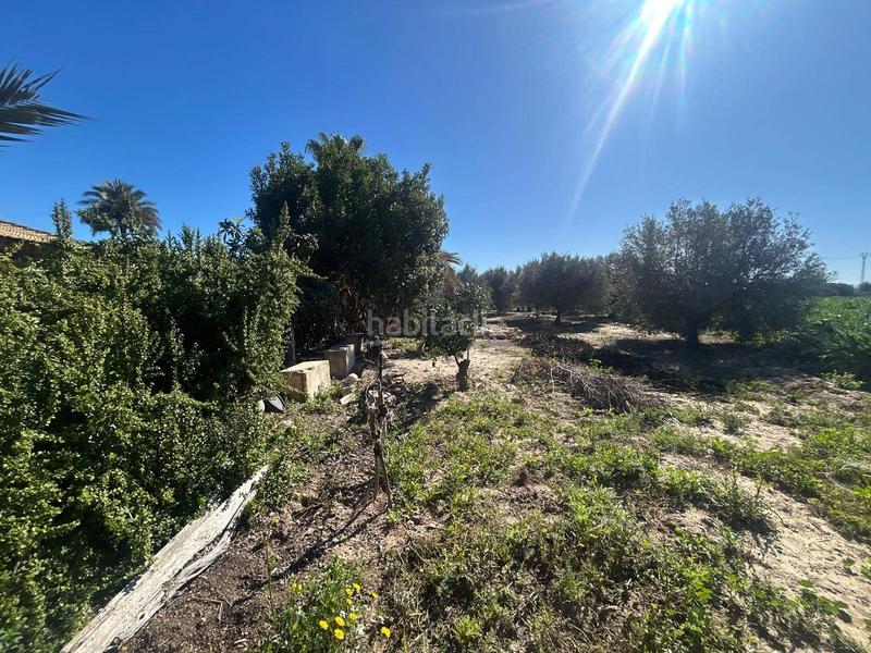 Foto a76d77de-18c4-46cf-aeeb-2ac19333c16e. Xalet a Las Bayas Elche / Elx