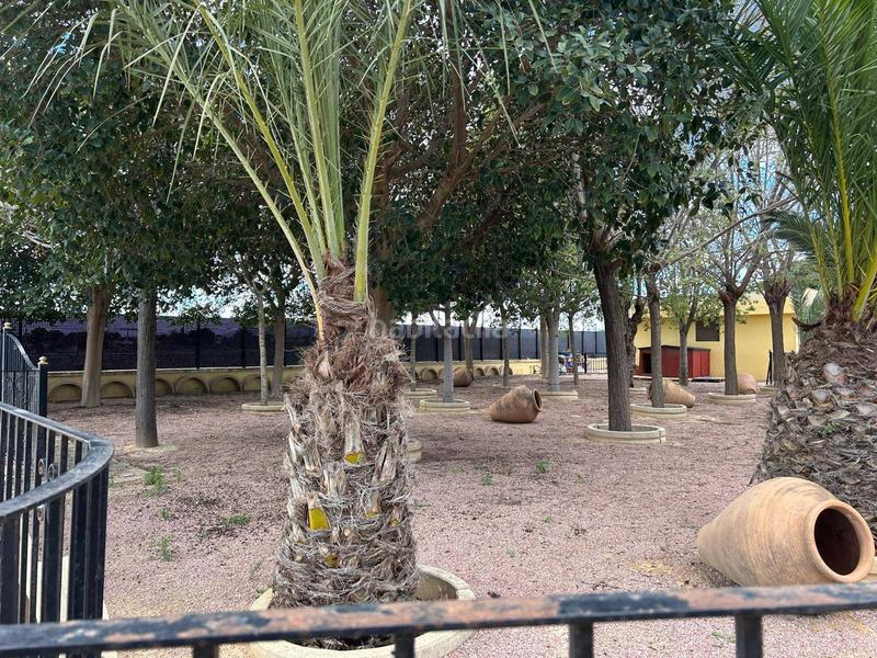 Foto 0b65a838-aff8-40da-baab-022fda8e85c6. Xalet amb calefacció piscina a Valverde Elche / Elx