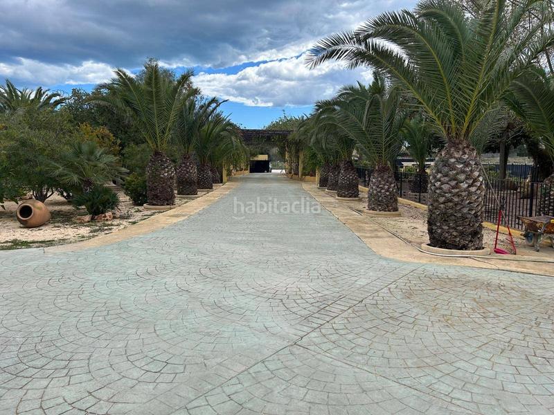 Foto 287dff80-9727-4c11-a203-e8518b8a7467. Xalet amb calefacció piscina a Valverde Elche / Elx