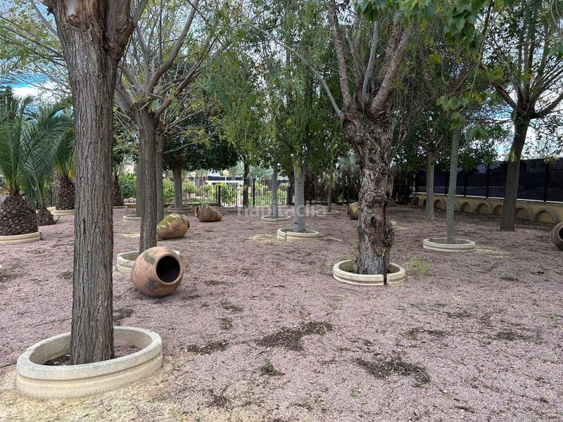 Foto 80b5d94d-b791-4860-b718-ed7e8d79d158. Xalet amb calefacció piscina a Valverde Elche / Elx