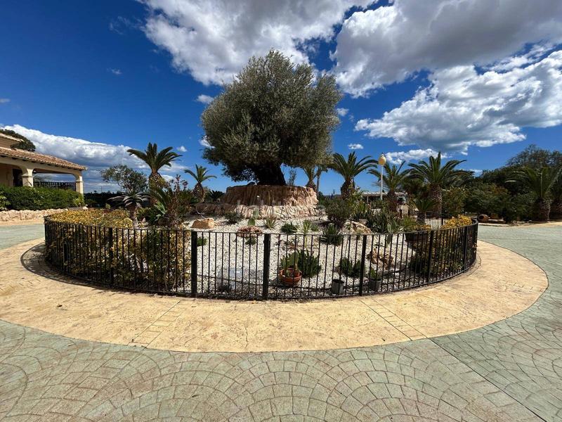 Foto ab08d58b-dd56-4927-9f46-a9a0ac7db6ad. Xalet amb calefacció piscina a Valverde Elche / Elx