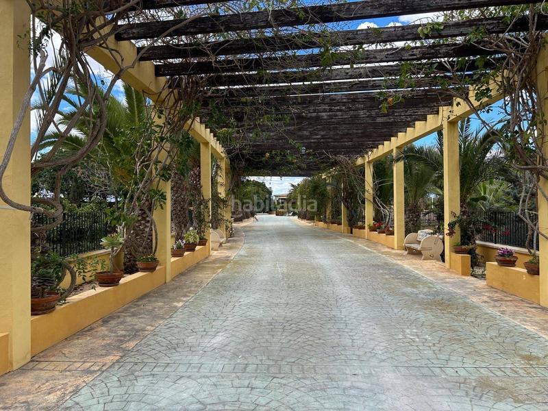 Foto d16cfa7e-a5f4-47ce-a842-c8303e837772. Xalet amb calefacció piscina a Valverde Elche / Elx