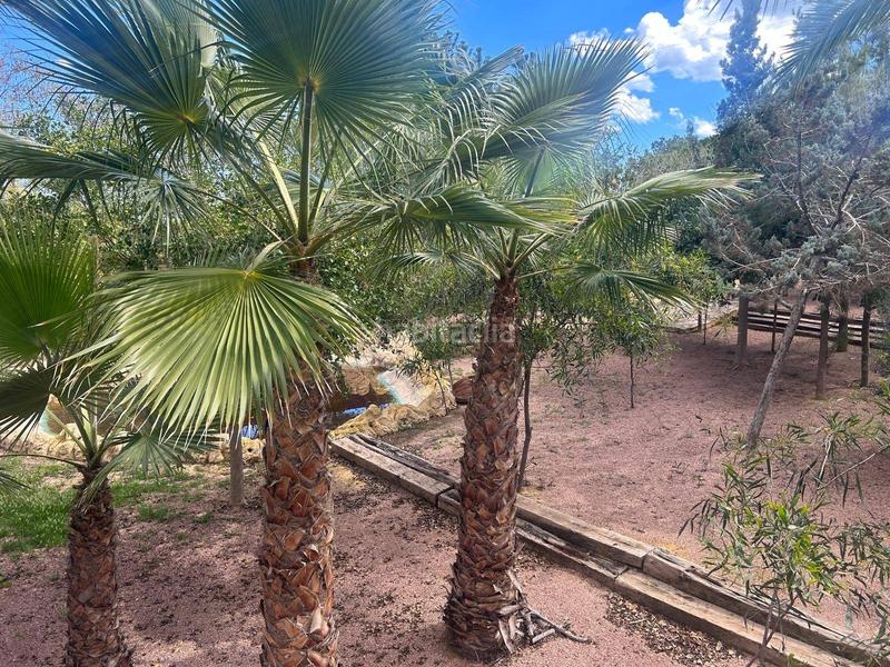 Foto e3dfcdb6-b44b-4433-926c-cd893e92d98f. Xalet amb calefacció piscina a Valverde Elche / Elx