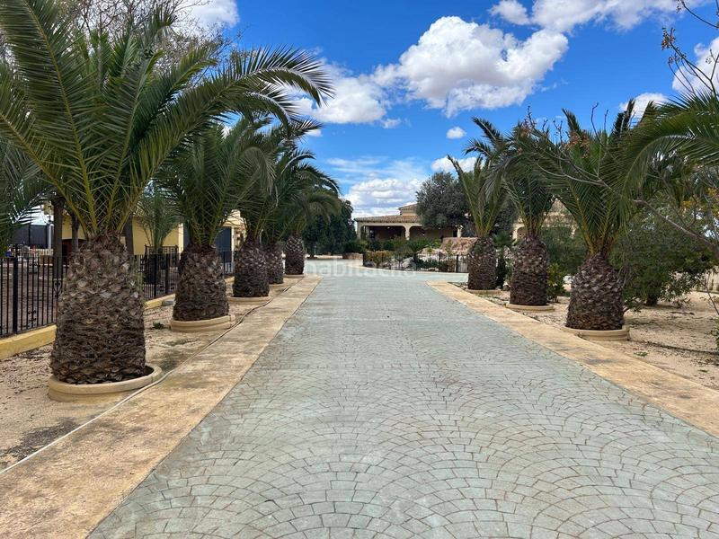 Foto fab3cd93-8822-4fd6-b936-f5481b48fb91. Xalet amb calefacció piscina a Valverde Elche / Elx