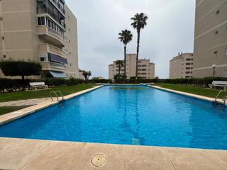 Pis  Avenida costa blanca. Piso , 1 dormitorio, 1 bao, arenales del sol ,elche
