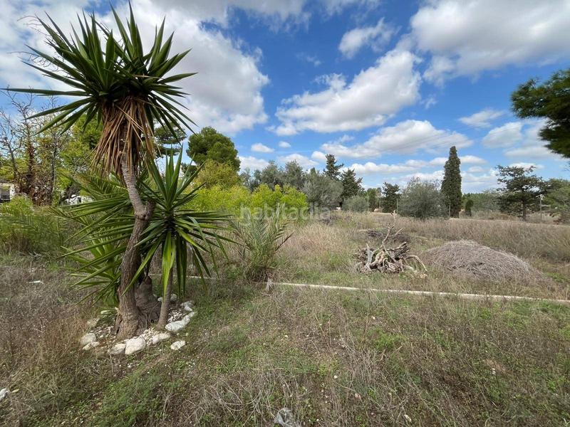 Foto f130deaf-3f25-44c4-86b3-9fa9b749f270. Chalet dans Torrellano Elche / Elx