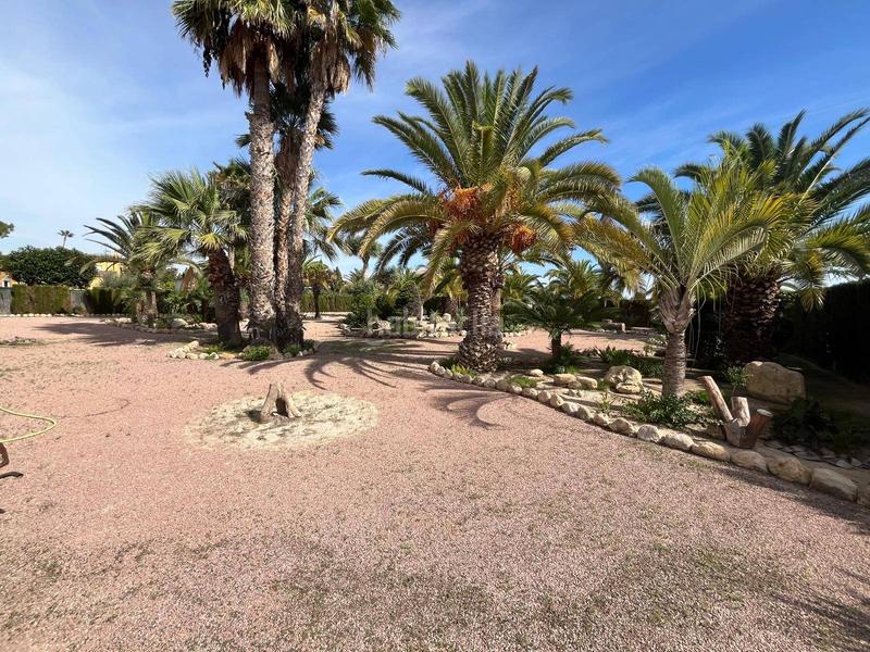 Foto 00b4897f-2cd2-478d-8a28-dde16513caa3. Xalet amb aparcament piscina a La Algoda - Matola - Llano de San José Elche / Elx