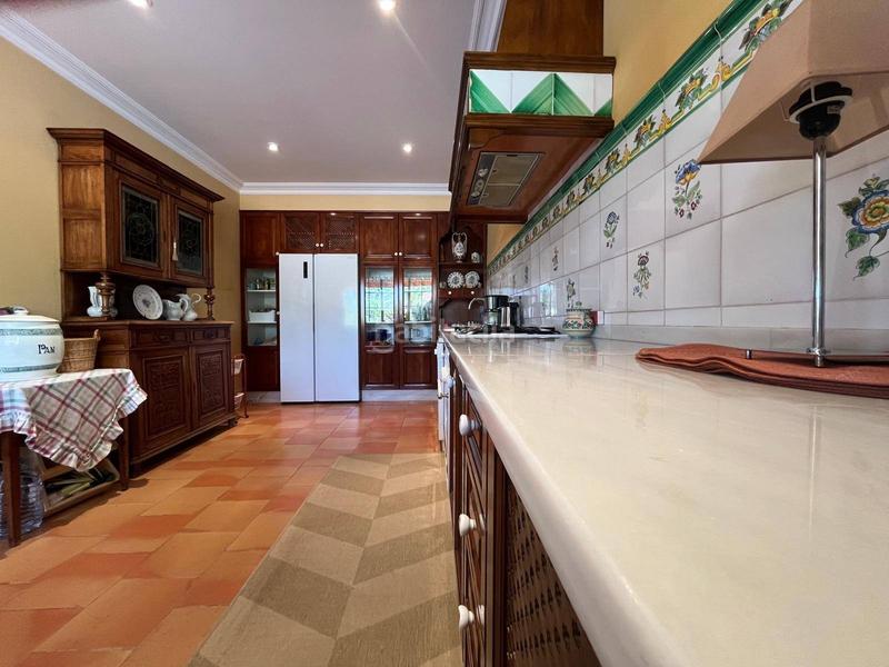 Foto 20b78bae-aeca-4ada-aff1-acbb7fa69809. Xalet amb aparcament piscina a La Algoda - Matola - Llano de San José Elche / Elx