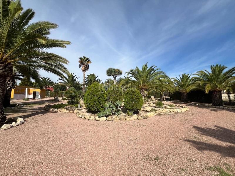 Foto 342688db-4ff2-4227-b1bd-47335c701cfb. Xalet amb aparcament piscina a La Algoda - Matola - Llano de San José Elche / Elx