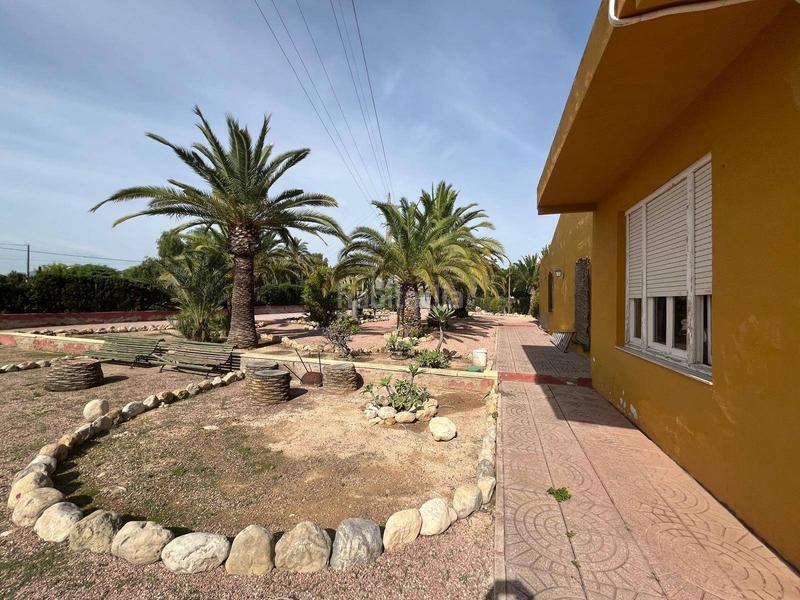 Foto 9a9d9d12-e6b5-43dd-9557-4aa0816246b5. Xalet amb aparcament piscina a La Algoda - Matola - Llano de San José Elche / Elx